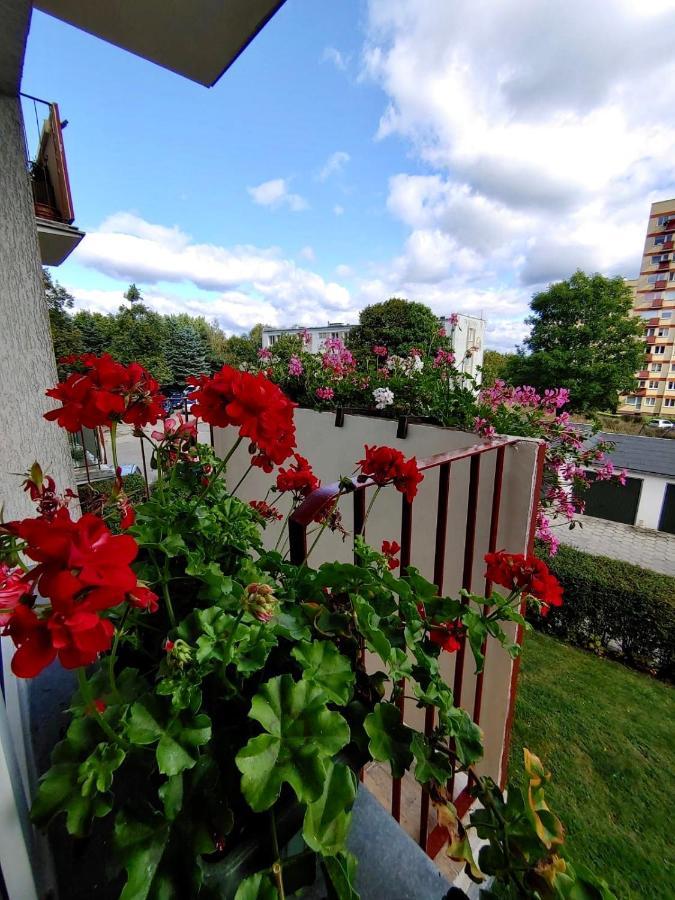 Апартаменти Loft House Sopot Apartament Екстер'єр фото